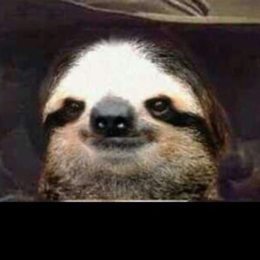 Meet your Posher, Susan